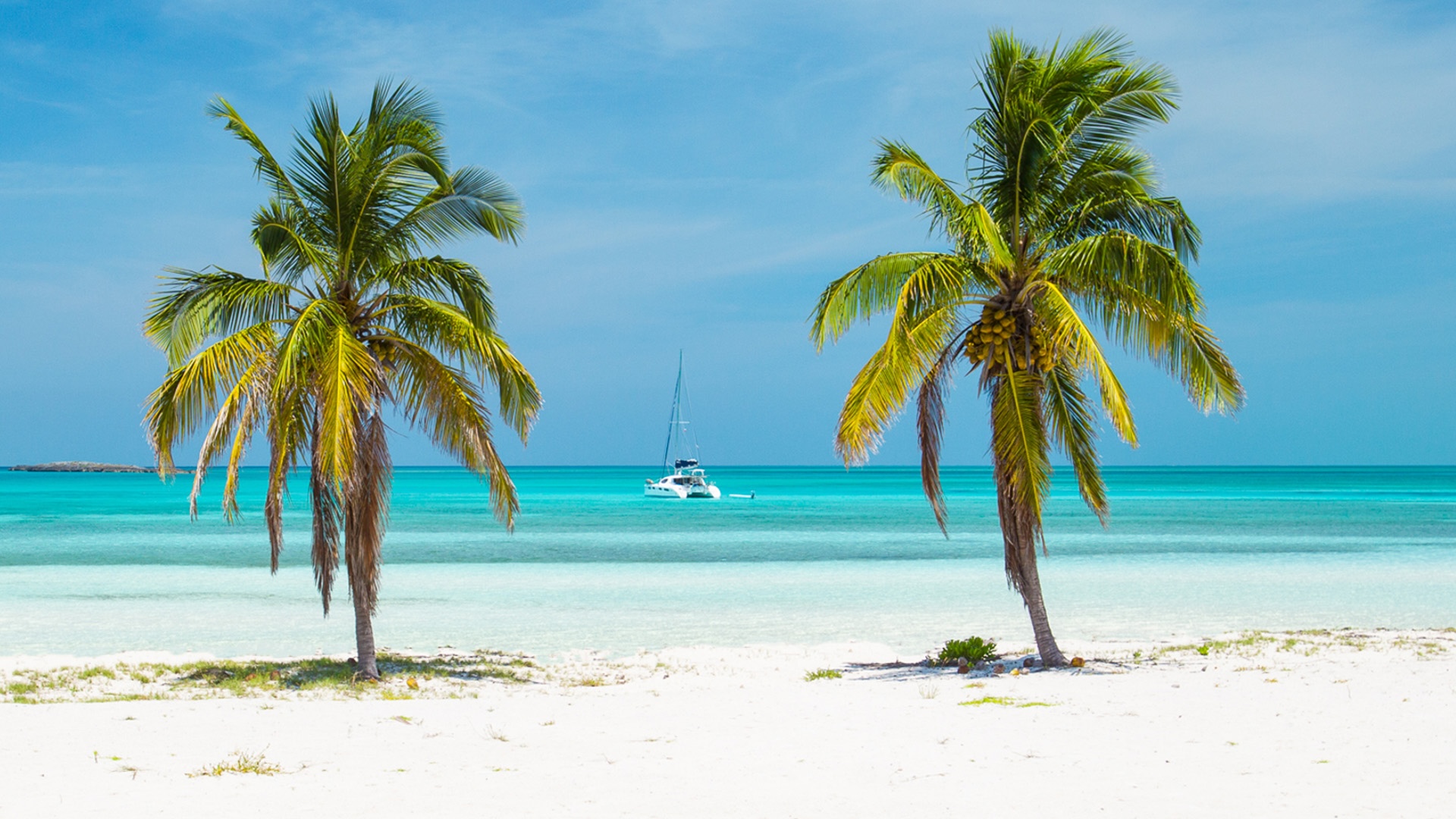 Vista desde una playa de arena blanca en las Berry Islands, enmarcada por dos palmeras con un catamarán grande fondeado frente a la costa