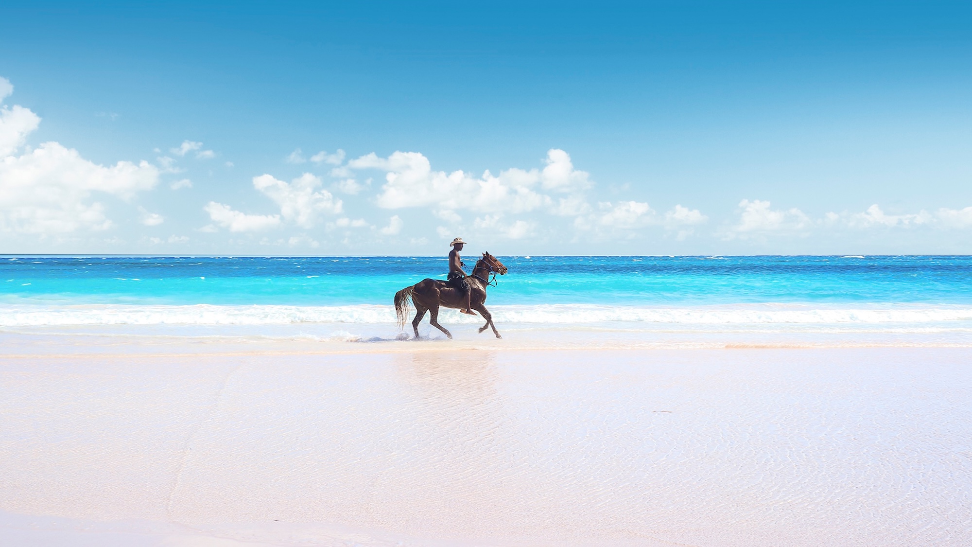 Caballo y jinete sobre la arena rosa de Harbour Island, Eleuthera
