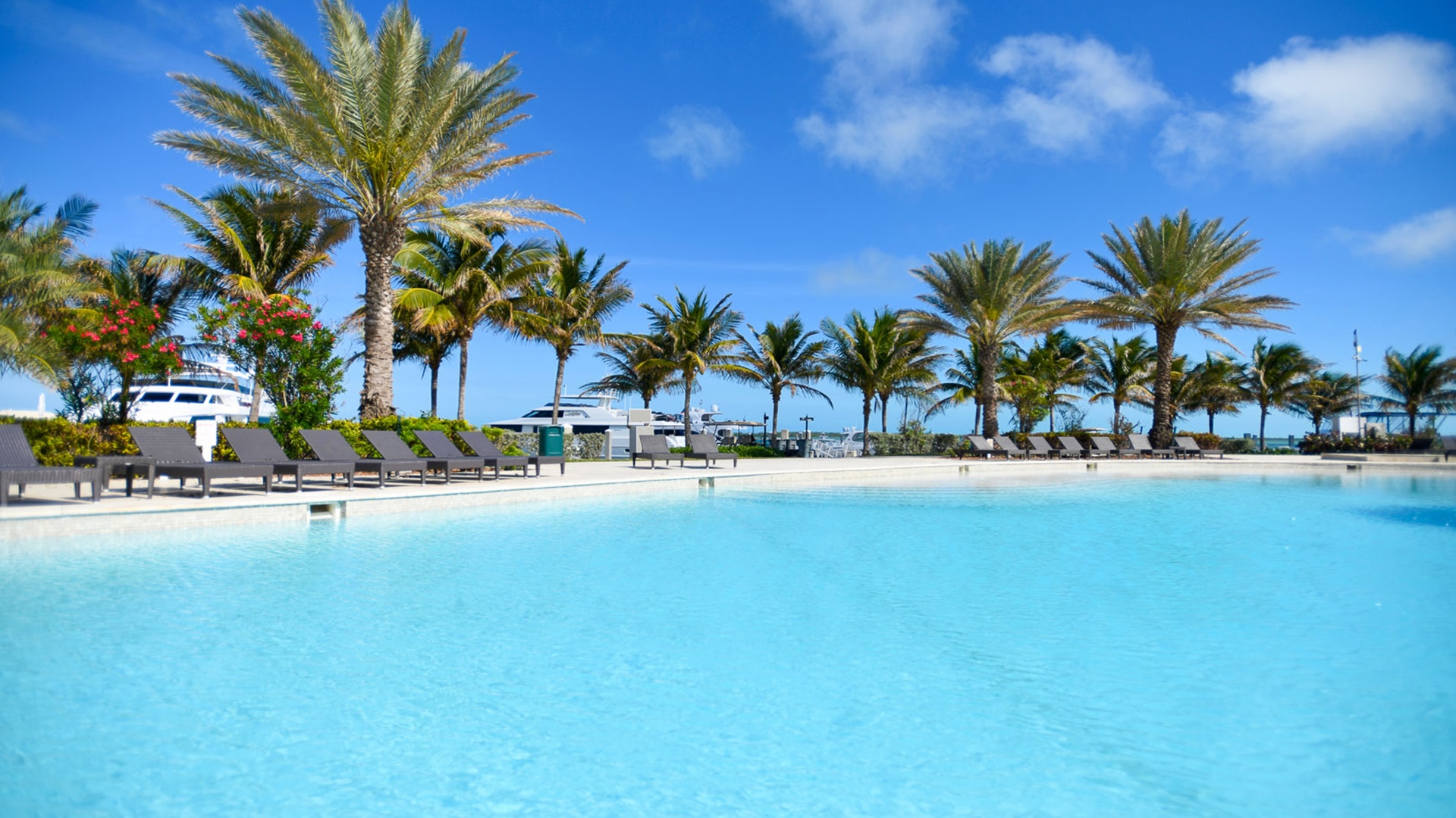 Large freshwater pool at a Bimini marina resort