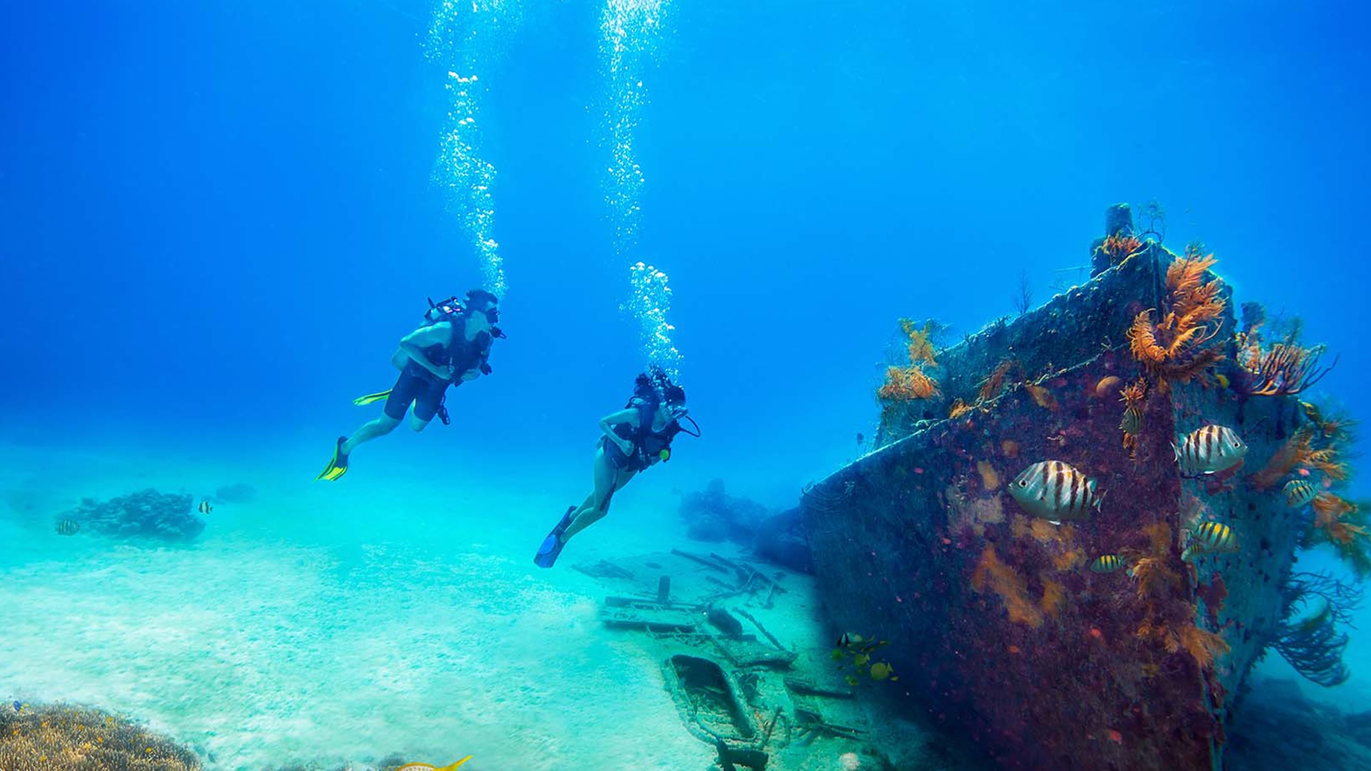 Diver exploring shipwreck near Nassau
